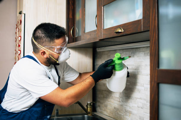 Best Rat Extermination Near Me  in Prairie Du Sac, WI