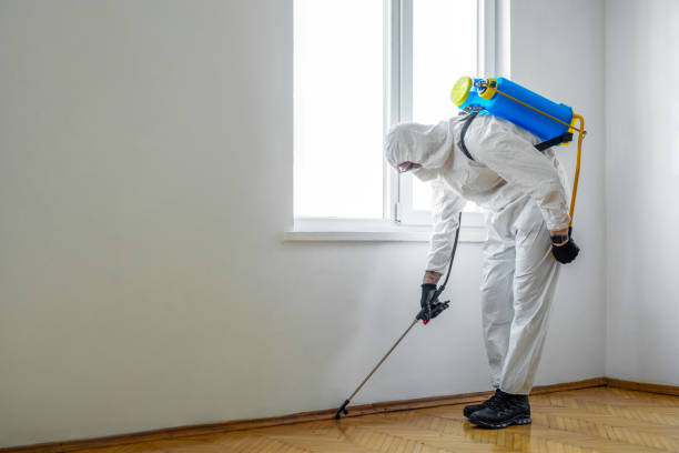 Best Wasp Removal Services  in Prairie Du Sac, WI