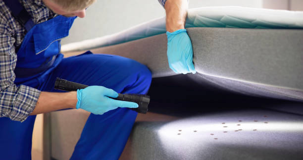 Best Affordable Pest Control Services  in Prairie Du Sac, WI