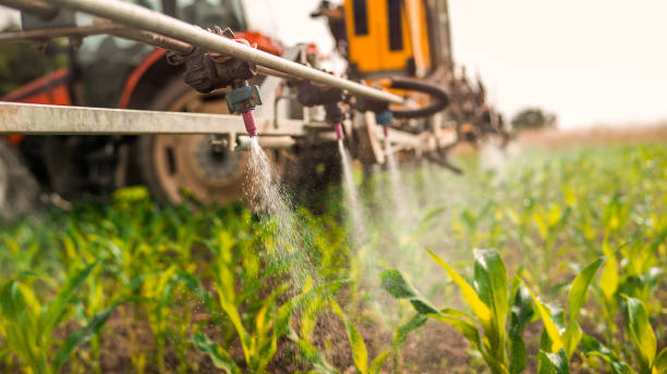 Best Best Pest Control Companies  in Prairie Du Sac, WI
